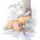 Zhe Xu